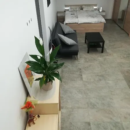 Place Near Casino Mond - Apartma Urska Daire *